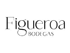 logo figueroa