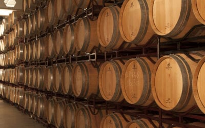 El pódium de los vinos de Valdelacierva